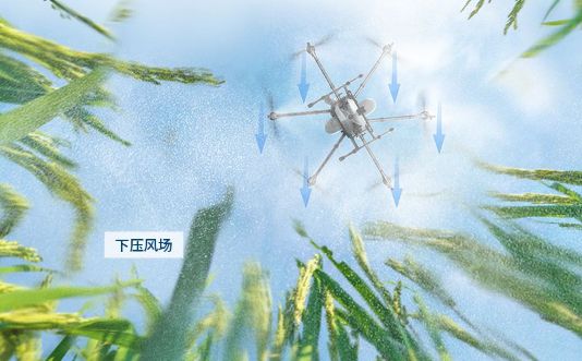 噴灑農(nóng)藥的無人機